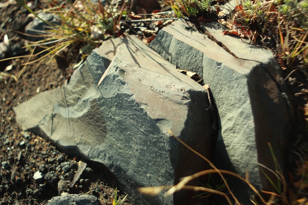 Pucon-pablo-arthur-bianchi-mendy-1