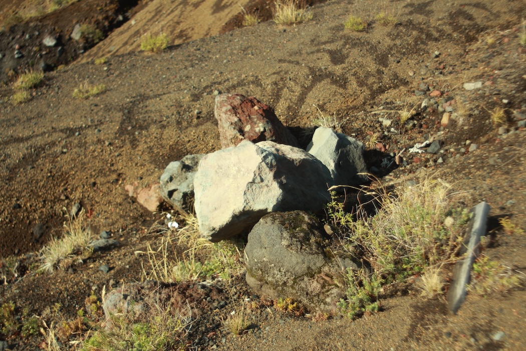 Pucon-pablo-arthur-bianchi-mendy-10