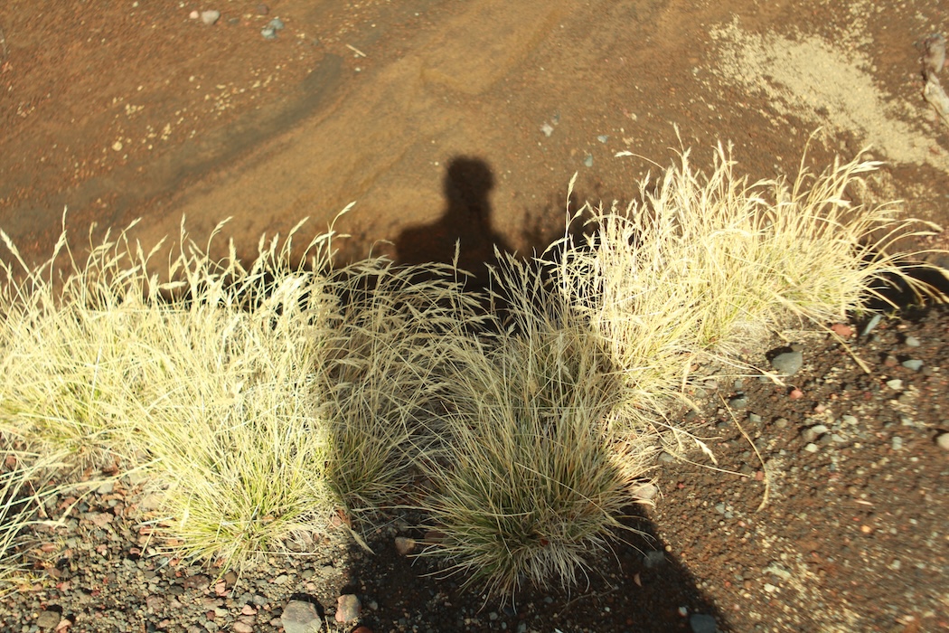 Pucon-pablo-arthur-bianchi-mendy-8