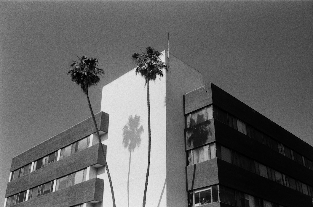 photography of California by Pablo Arthur Bianchi Mendy