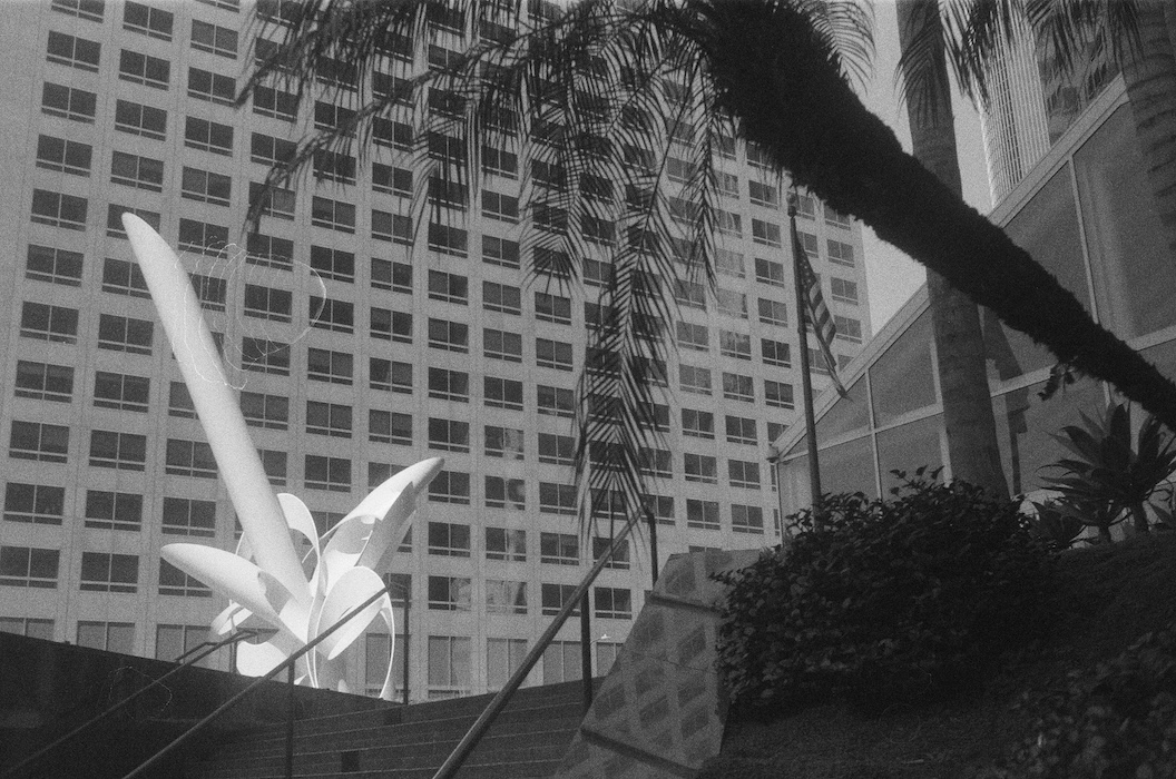 Photo 5 - Los Angeles